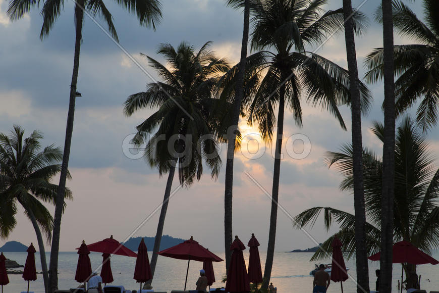 The decline on the tropical island is extraordinary beautiful