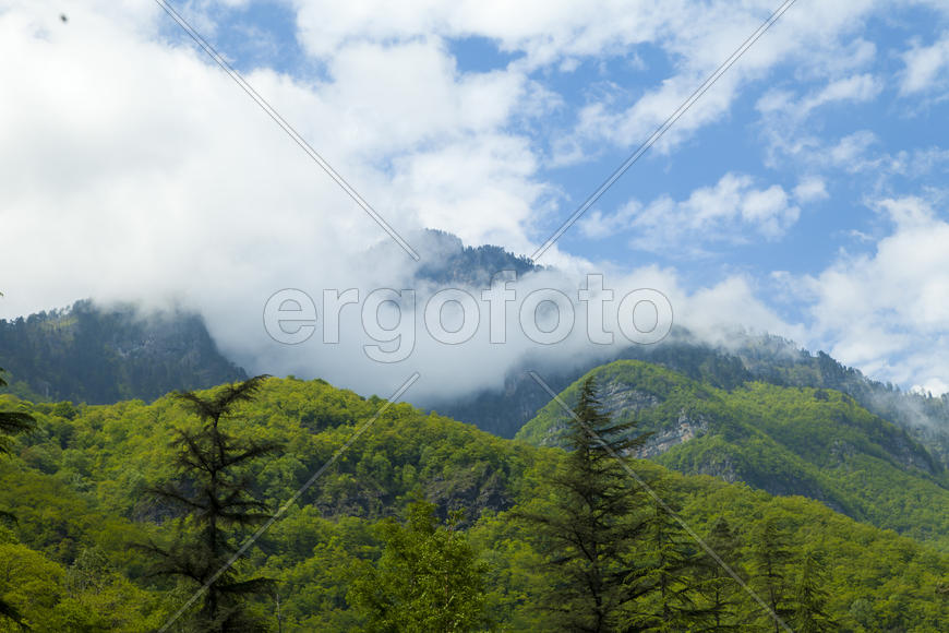 Mountains in the woods and snow are surrounded with clouds