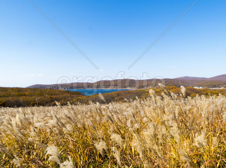 The sea under the bright autumn sun prepares for winter