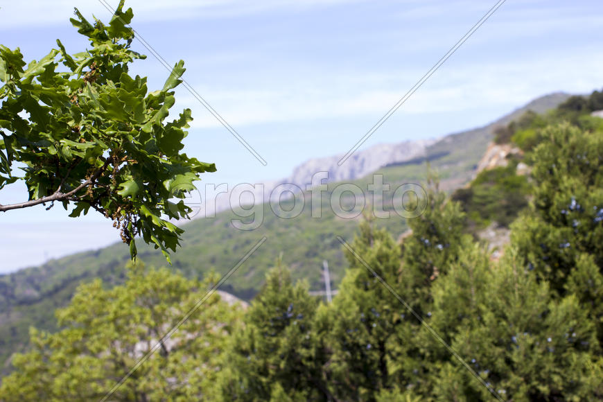 Mountains majestically tower it is necessary to all in the afternoon