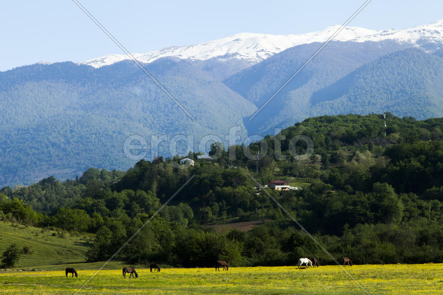 Mountains are covered with snow and the wood and surrounded with clouds