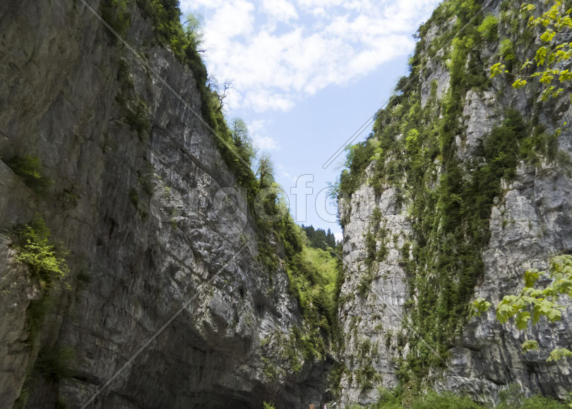 The mountains covered with the wood hang over the head