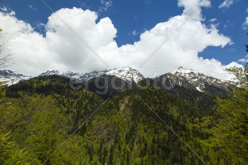 Mountains are covered with snow and the wood and surrounded with clouds