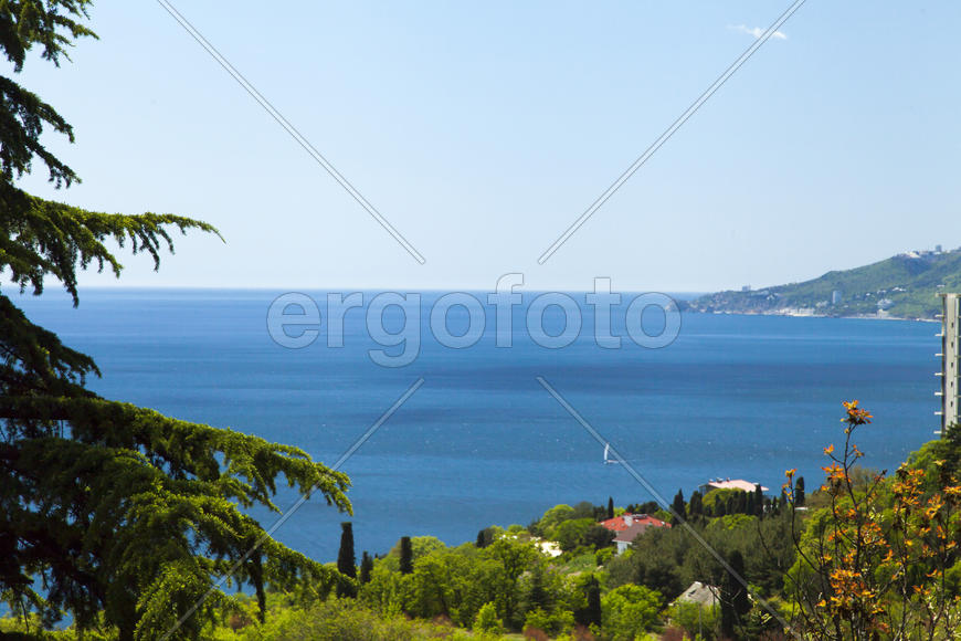 City bay with the ships in it under the blue sky and a bright sun
