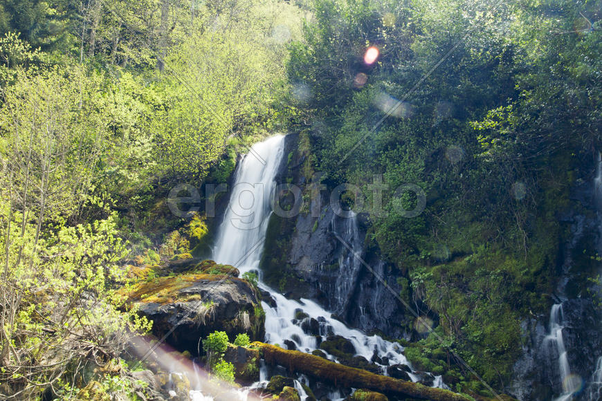 The falls in mountains flow from above and rustle