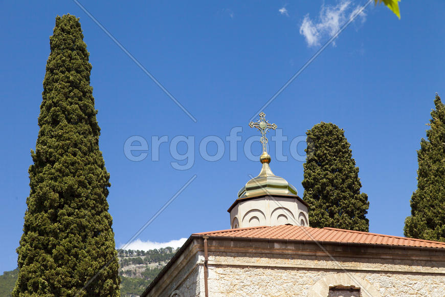 Palm trees and cypresses grow in the South and are pleasing to the eye beauty