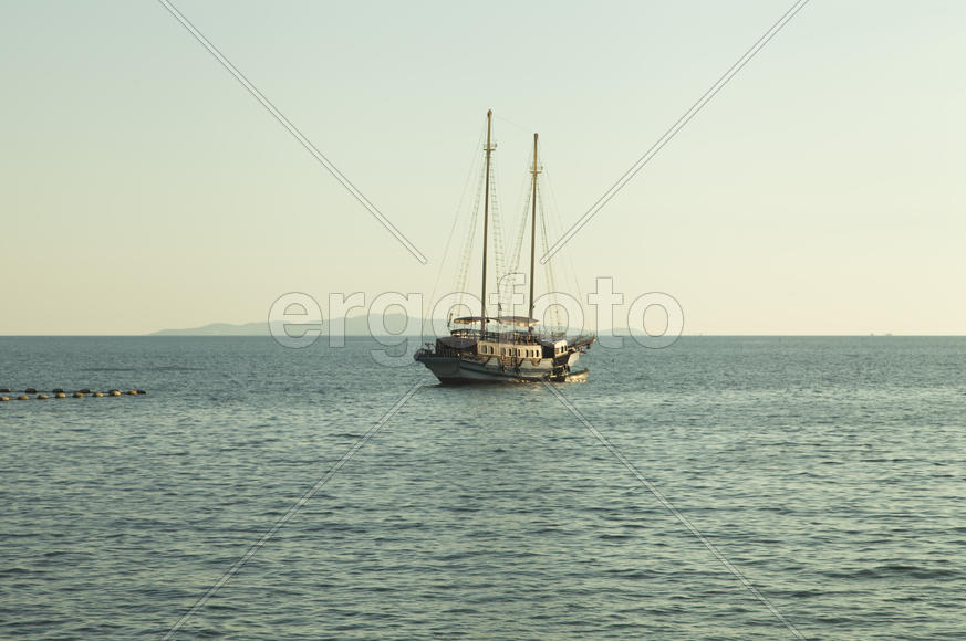 Palm trees grow on pleasure to the people having a rest and bathing ashore