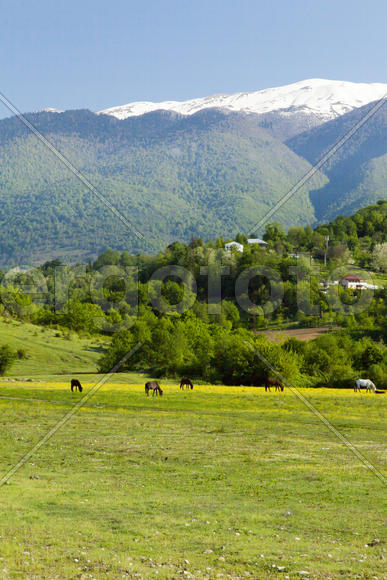 Mountains are covered with snow and the wood and surrounded with clouds