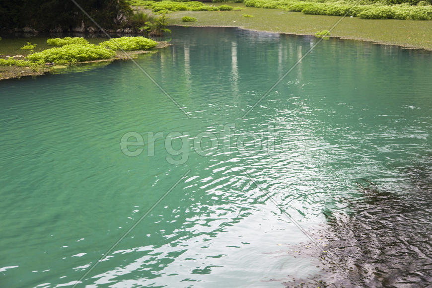 The blue river flows between thickets from palm trees and tropical trees