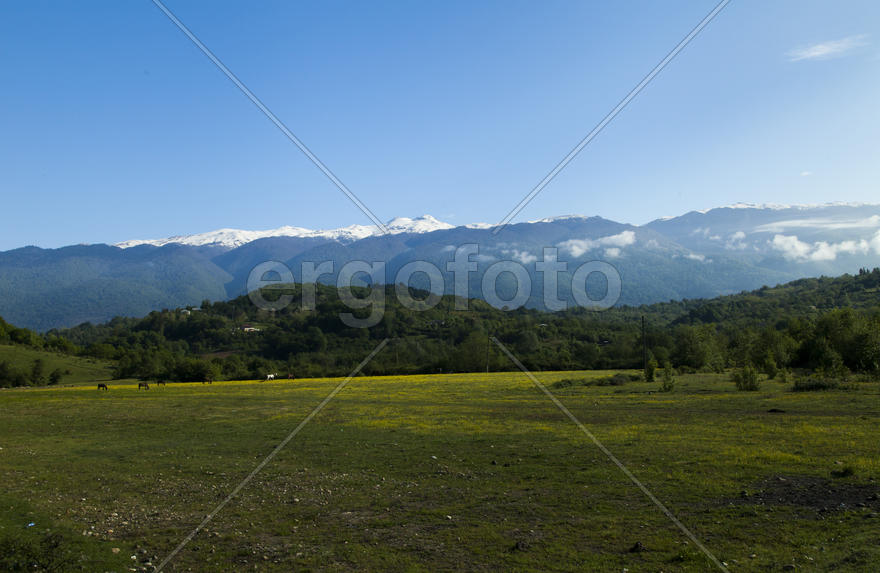 Mountains are covered with snow and the wood and surrounded with clouds