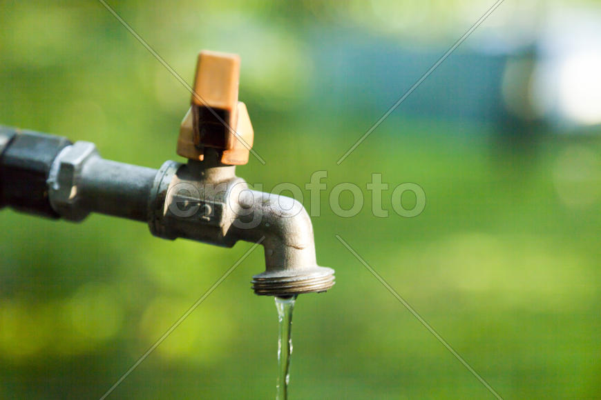 The water tap is opened and water flows out of it in the background of nature