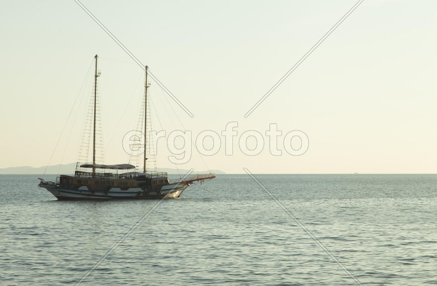 Palm trees grow on pleasure to the people having a rest and bathing ashore