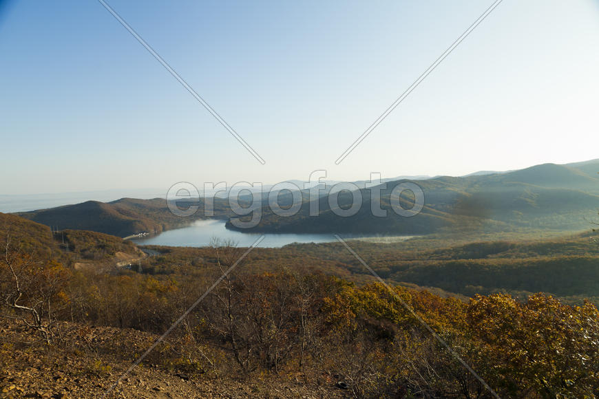 Autumn forest colorful stands in the last days of autumn