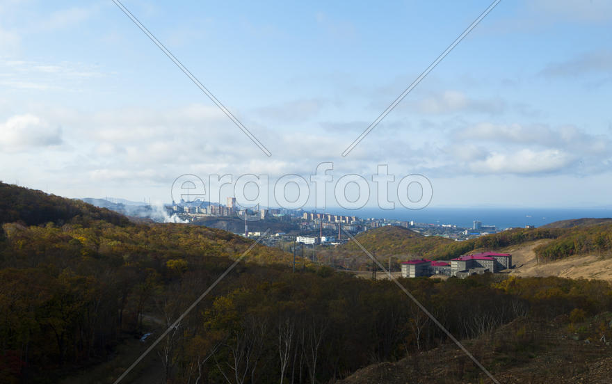 The autumn wood waiting for winter is pleasing to the eye rich paints