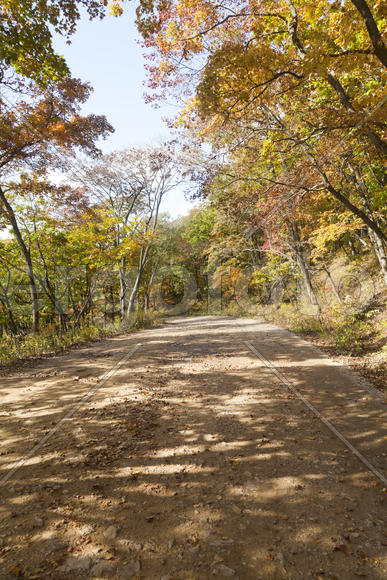 The autumn wood waiting for winter is pleasing to the eye rich paints