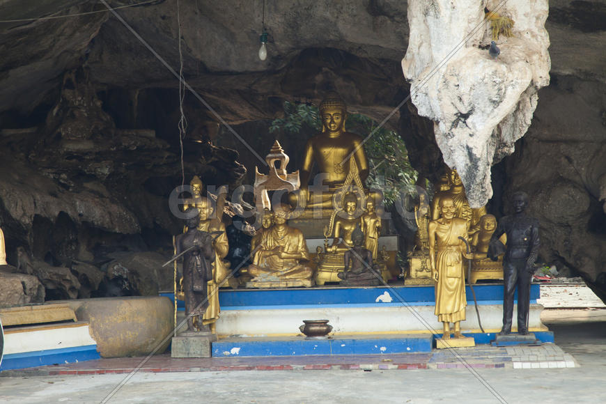 Monkeys in the Buddhist temple meet visitors and parishioners