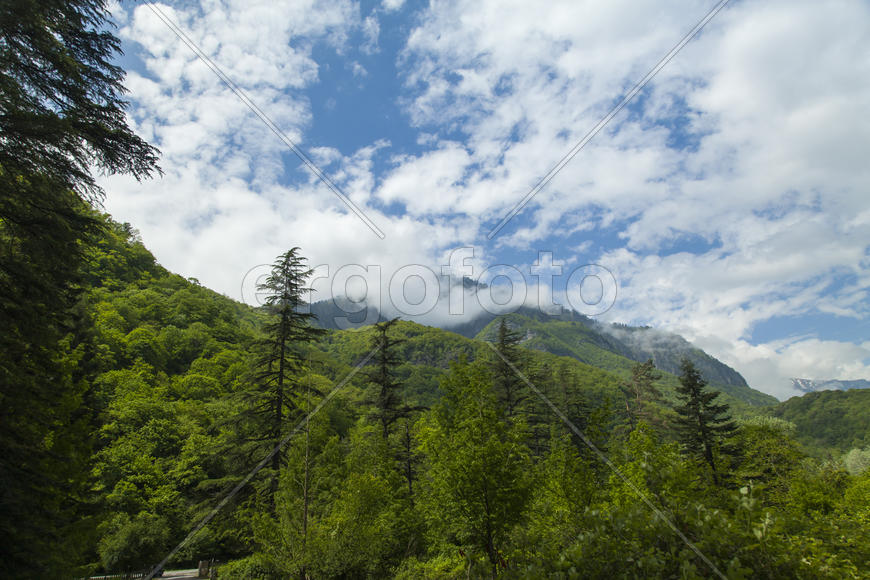 Mountains in the woods and snow are surrounded with clouds