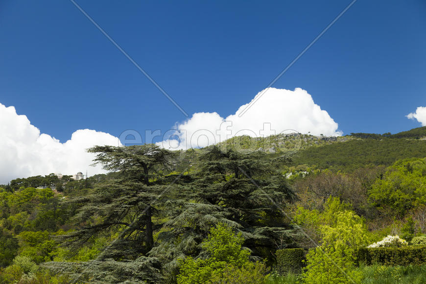 Clouds over mountains majestically float towards the sea