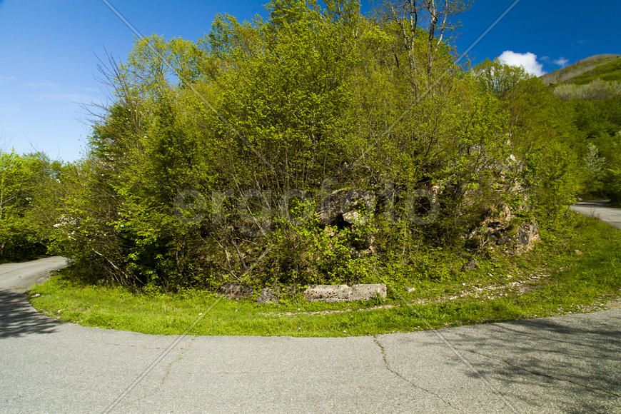 Mountains are covered with snow and the wood and surrounded with clouds