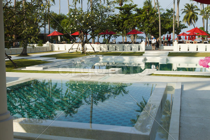 Palm trees at the pool it is very beautiful, but doesn't help from the sun