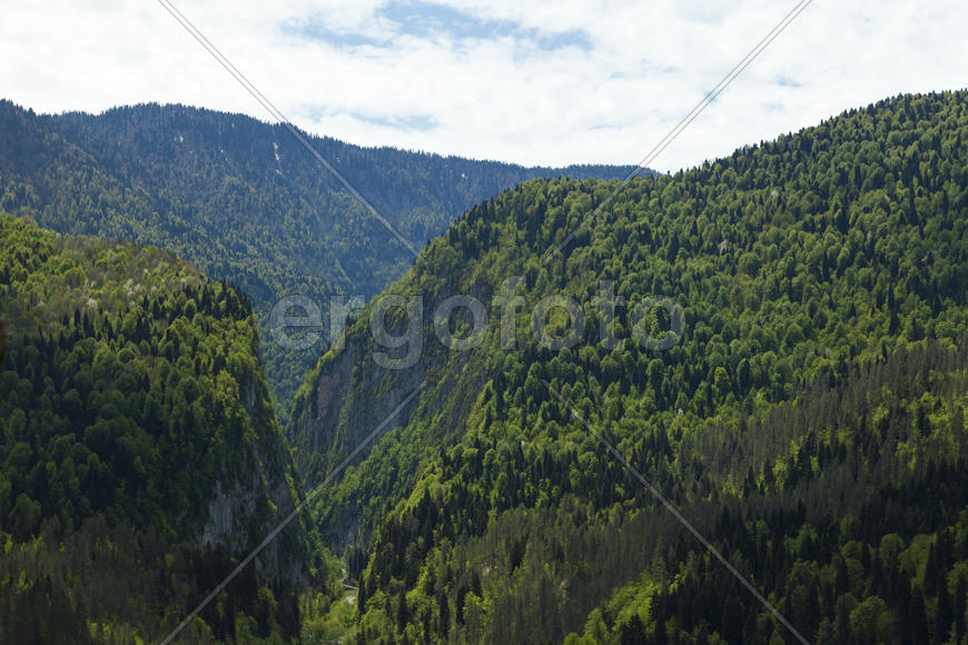 Mountains are covered with snow and the wood and surrounded with clouds