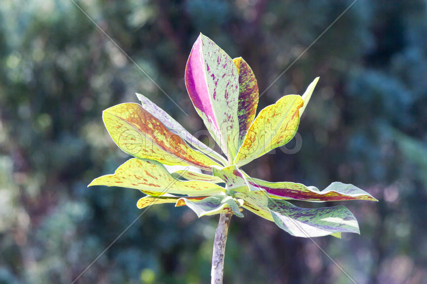 Autumn flowers grow in the joy of the people in the bright light of the sun