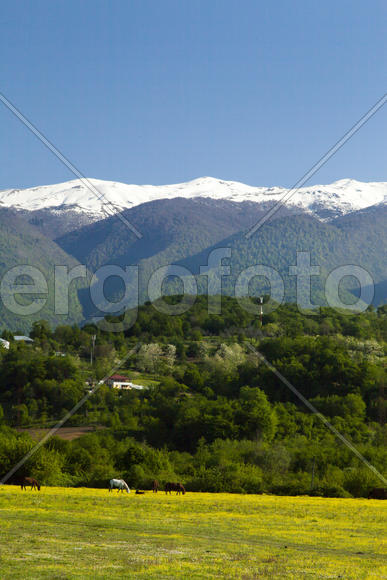 Mountains are covered with snow and the wood and surrounded with clouds