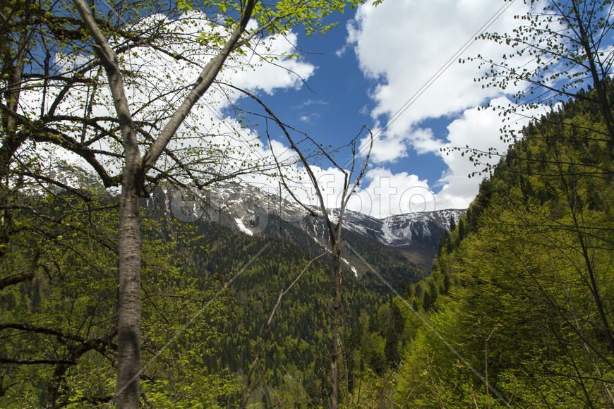 Mountains are covered with snow and the wood and surrounded with clouds
