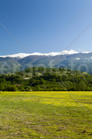 Mountains are covered with snow and the wood and surrounded with clouds