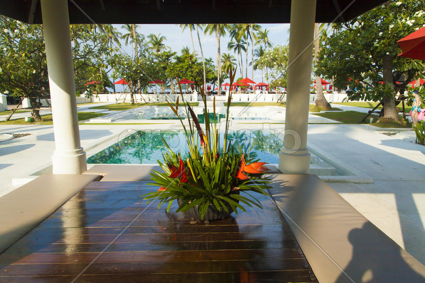 Palm trees at the pool it is very beautiful, but doesn't help from the sun