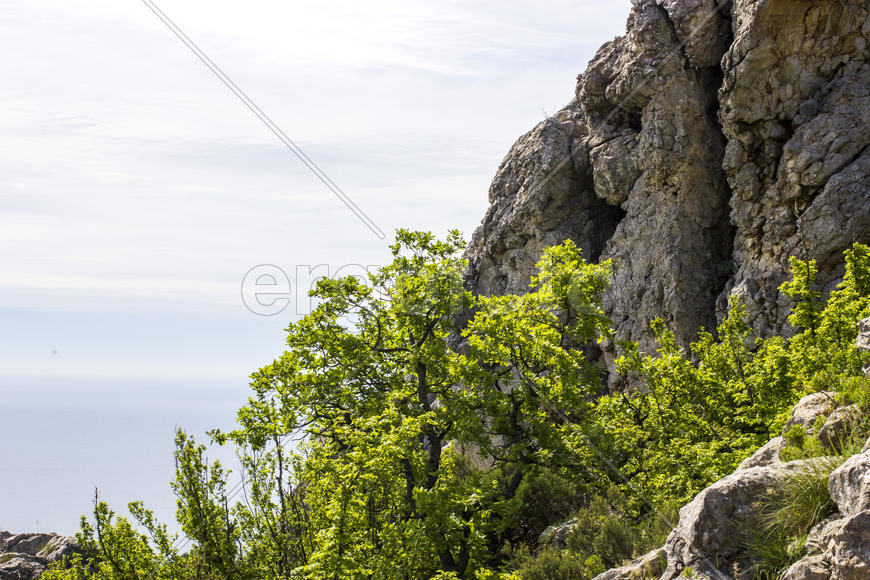 Mountains majestically tower it is necessary to all in the afternoon
