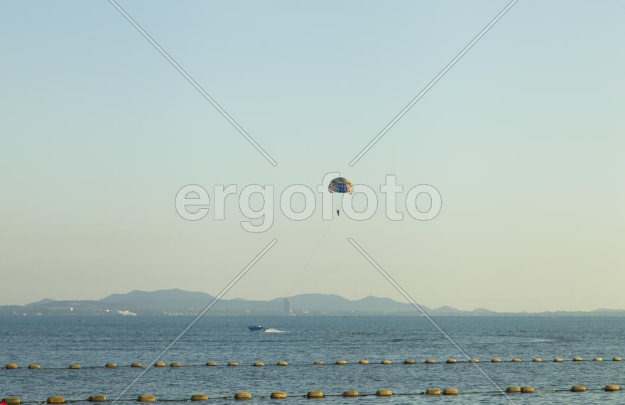 Palm trees grow on pleasure to the people having a rest and bathing ashore