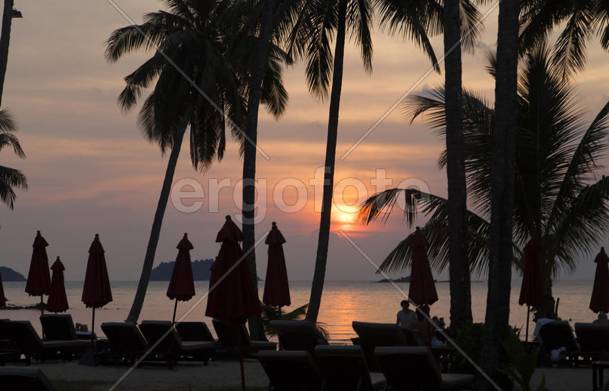 The decline on the tropical island is extraordinary beautiful