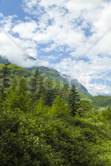 Mountains in the woods and snow are surrounded with clouds