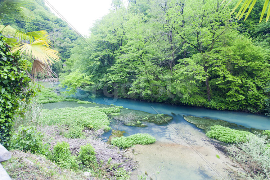 The blue river flows between thickets from palm trees and tropical trees