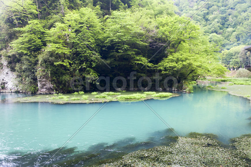 The blue river flows between thickets from palm trees and tropical trees