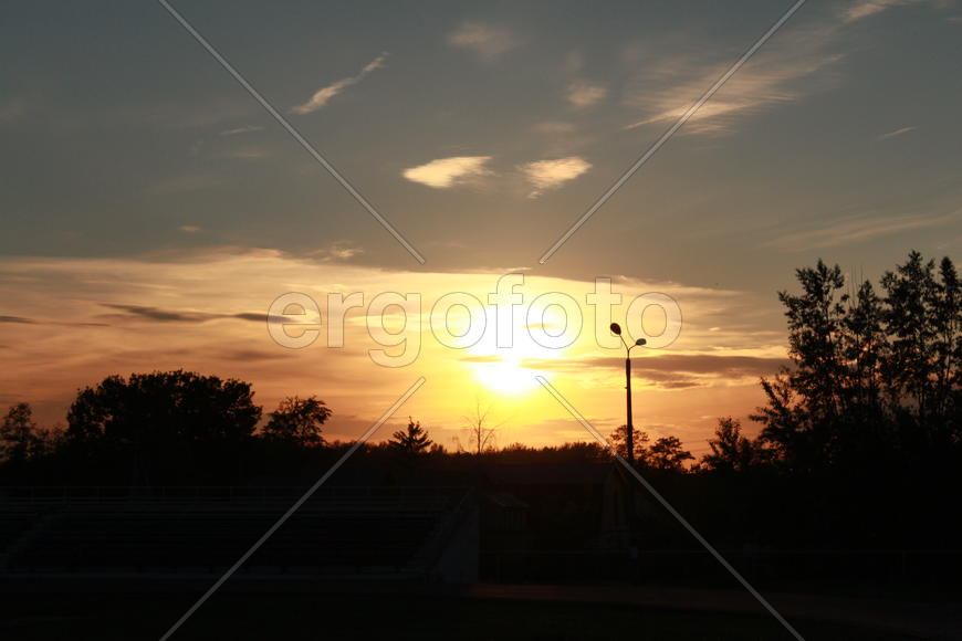 Деревья на фоне заката 