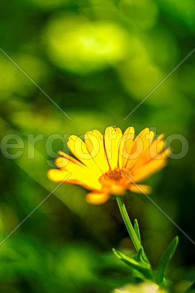 Яркие осенние краски