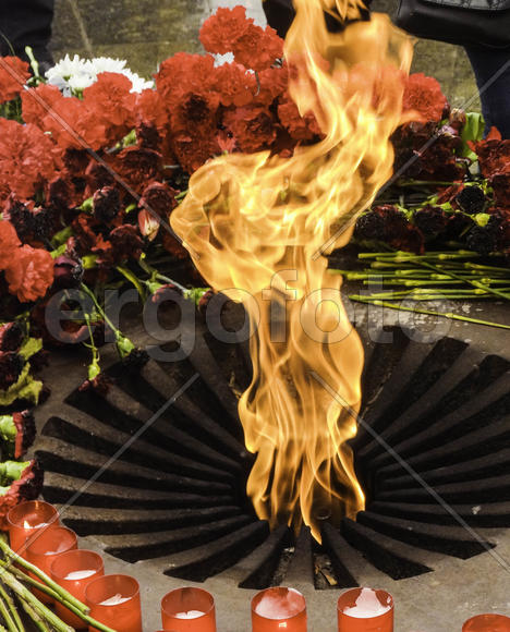 Вечный огонь