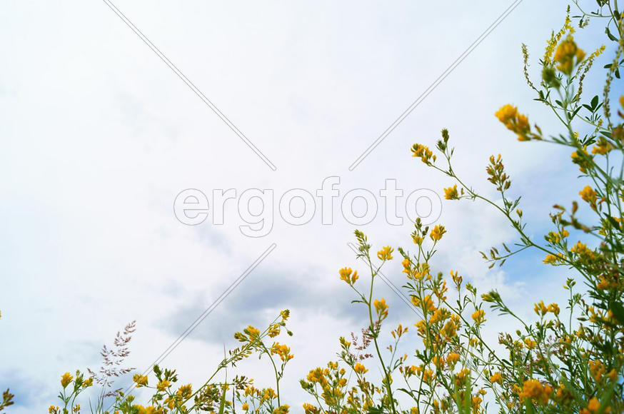 Между небом и землей