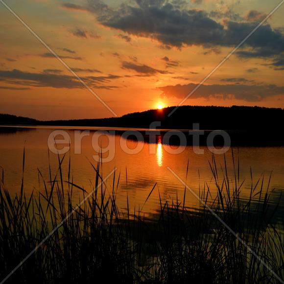 Утренняя зорька