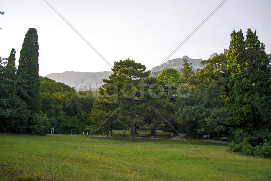 Парк (поляна)