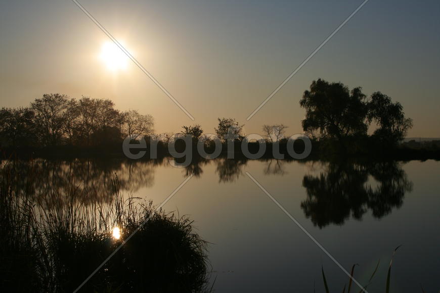 Утро на пруду