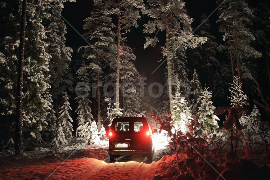 Машина едет зимой по ночному лесу
