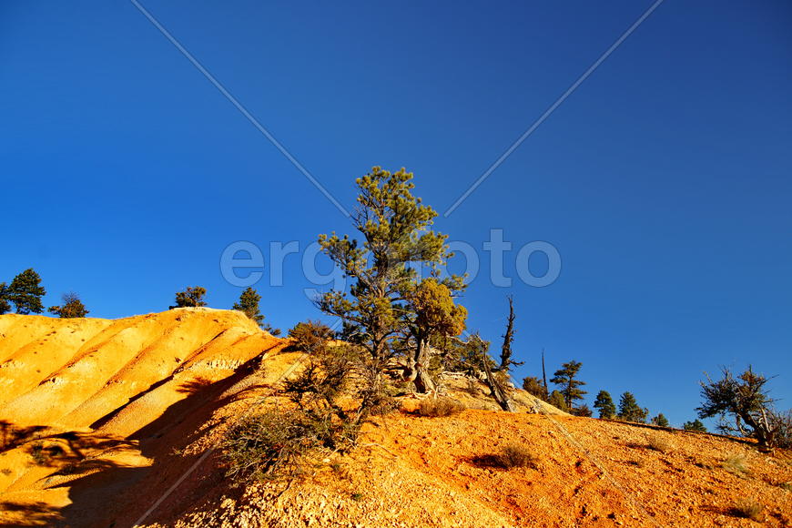 Брайс-Каньон, ш. Юта, США