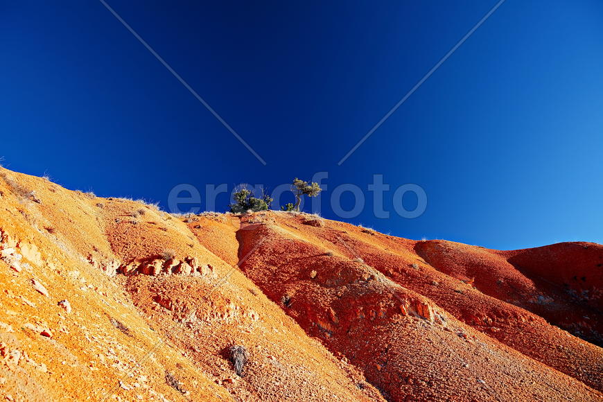 Брайс-Каньон, ш. Юта, США