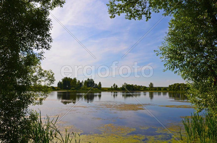 Гляжу в озёра синие