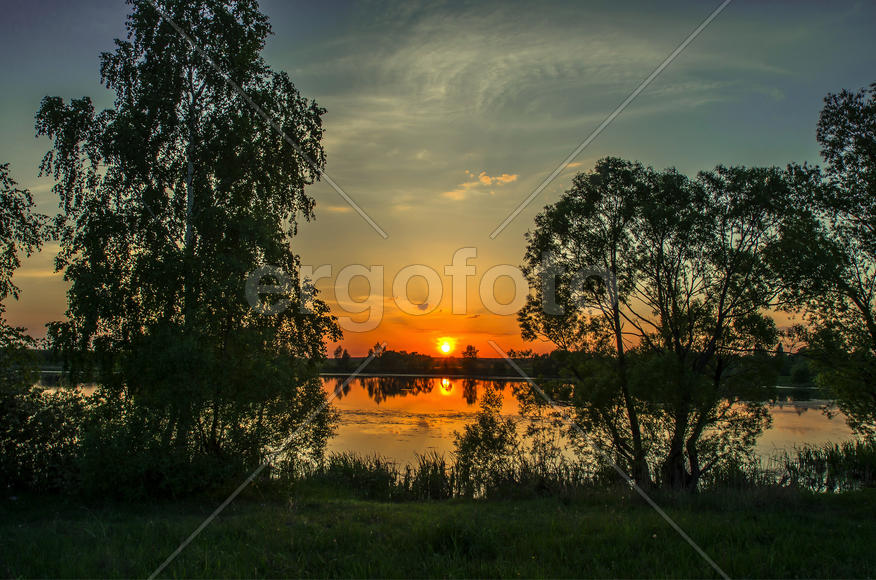Закат на берегу озера в лесу 