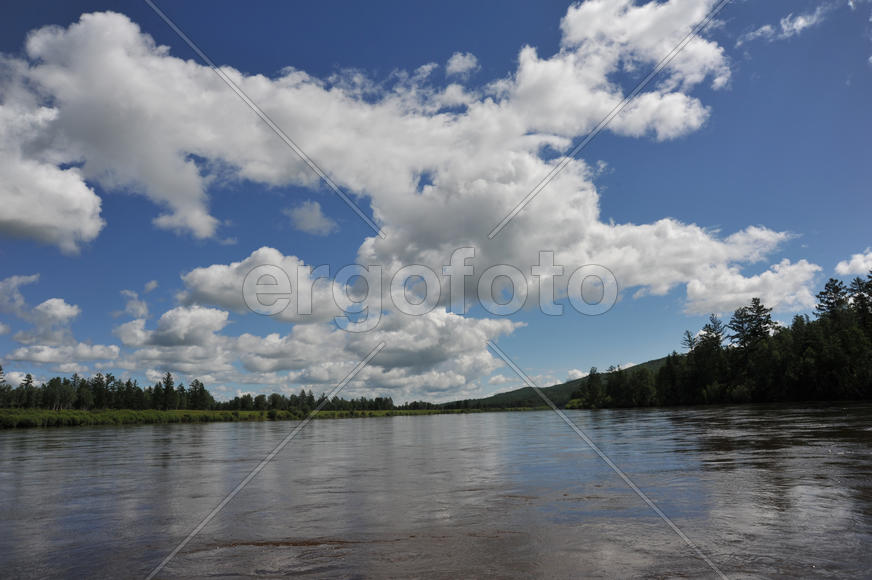 Облако похожее на птицу