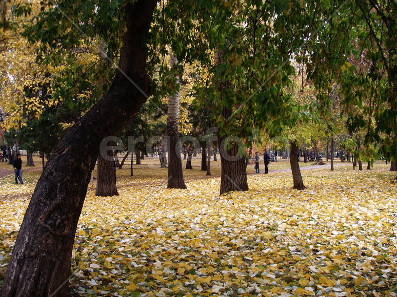 Осенним днем в парке
